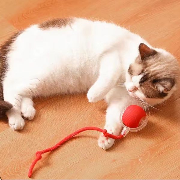 PACK Fuente para gatos Komypets + 6 filtros de repuesto + pelota interactiva para mascotas - Image 7