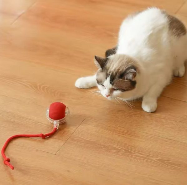 Pelota interactiva para mascotas - Image 4