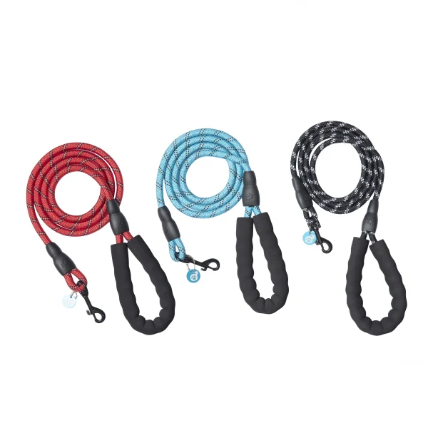 Correa de paseo para perros