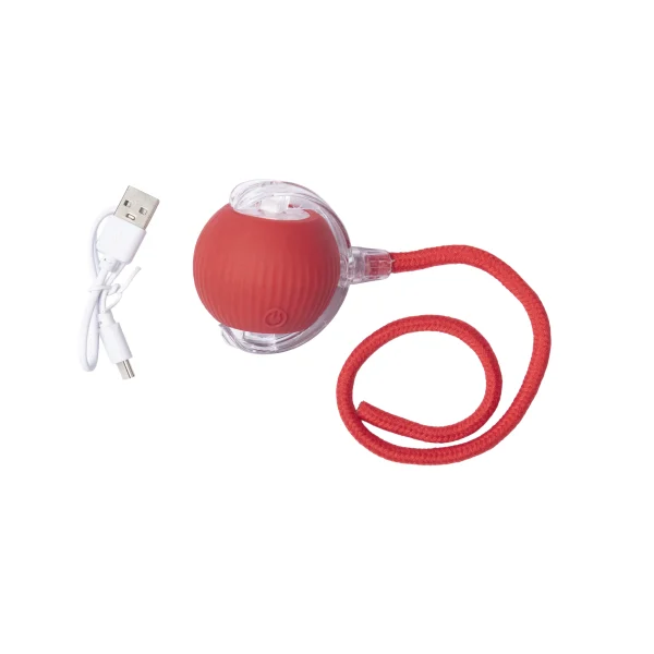 Pelota interactiva para mascotas