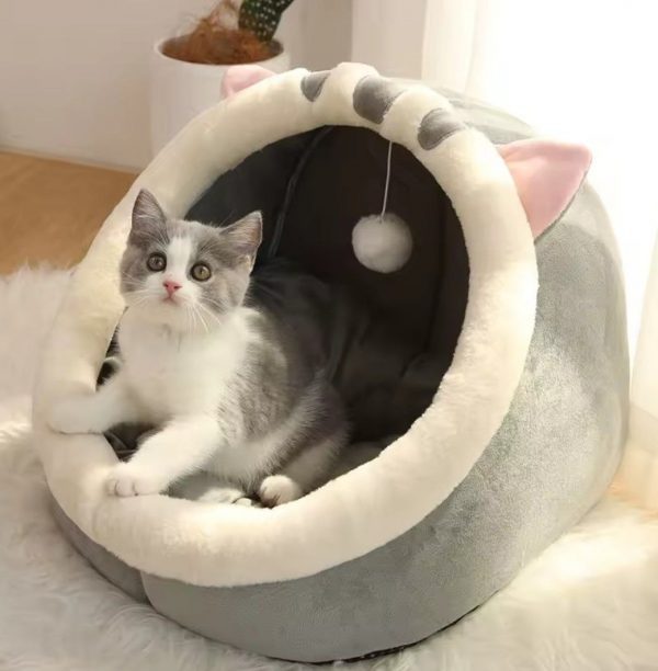 Iglú para mascotas