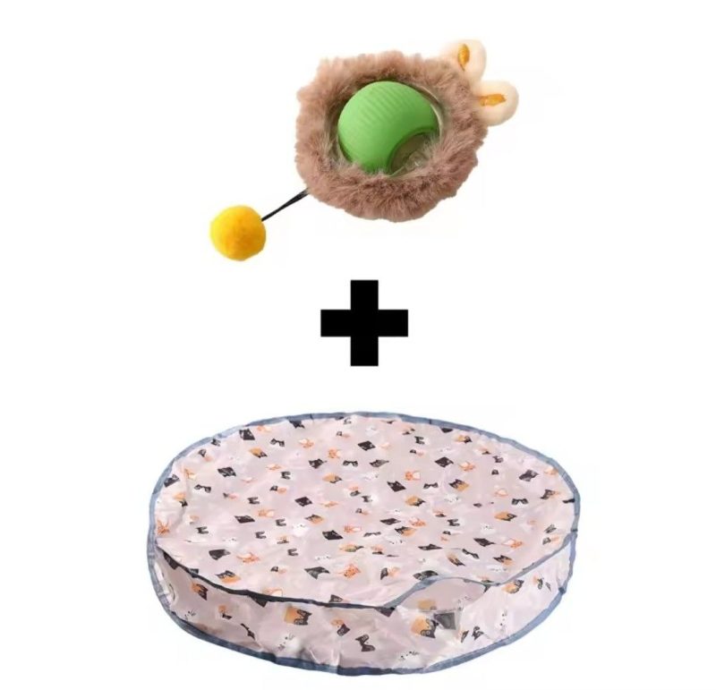 pelota-interactiva-con-bolsa-003
