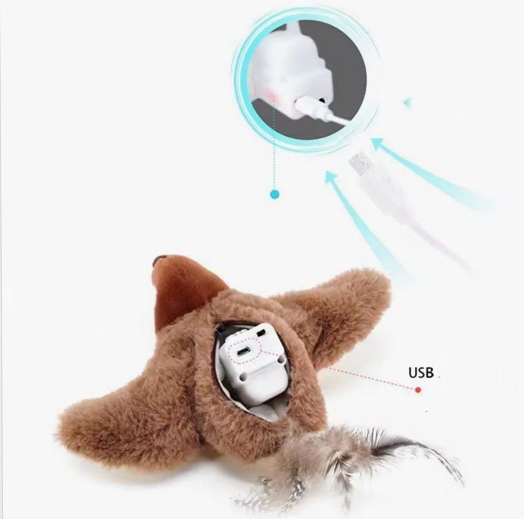 photo_2025-09-15_20-52-13