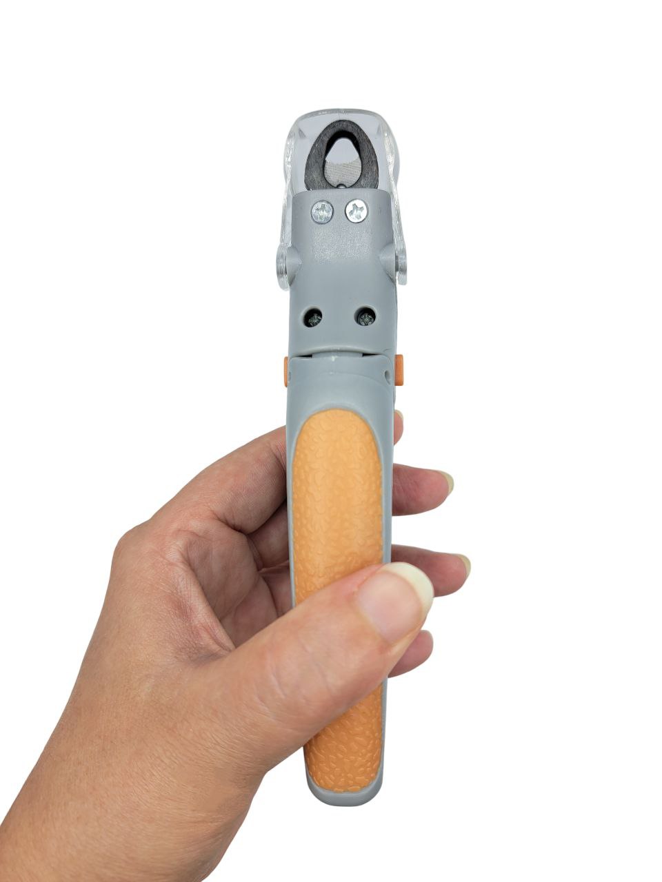 photo_2025-09-15_20-53-21