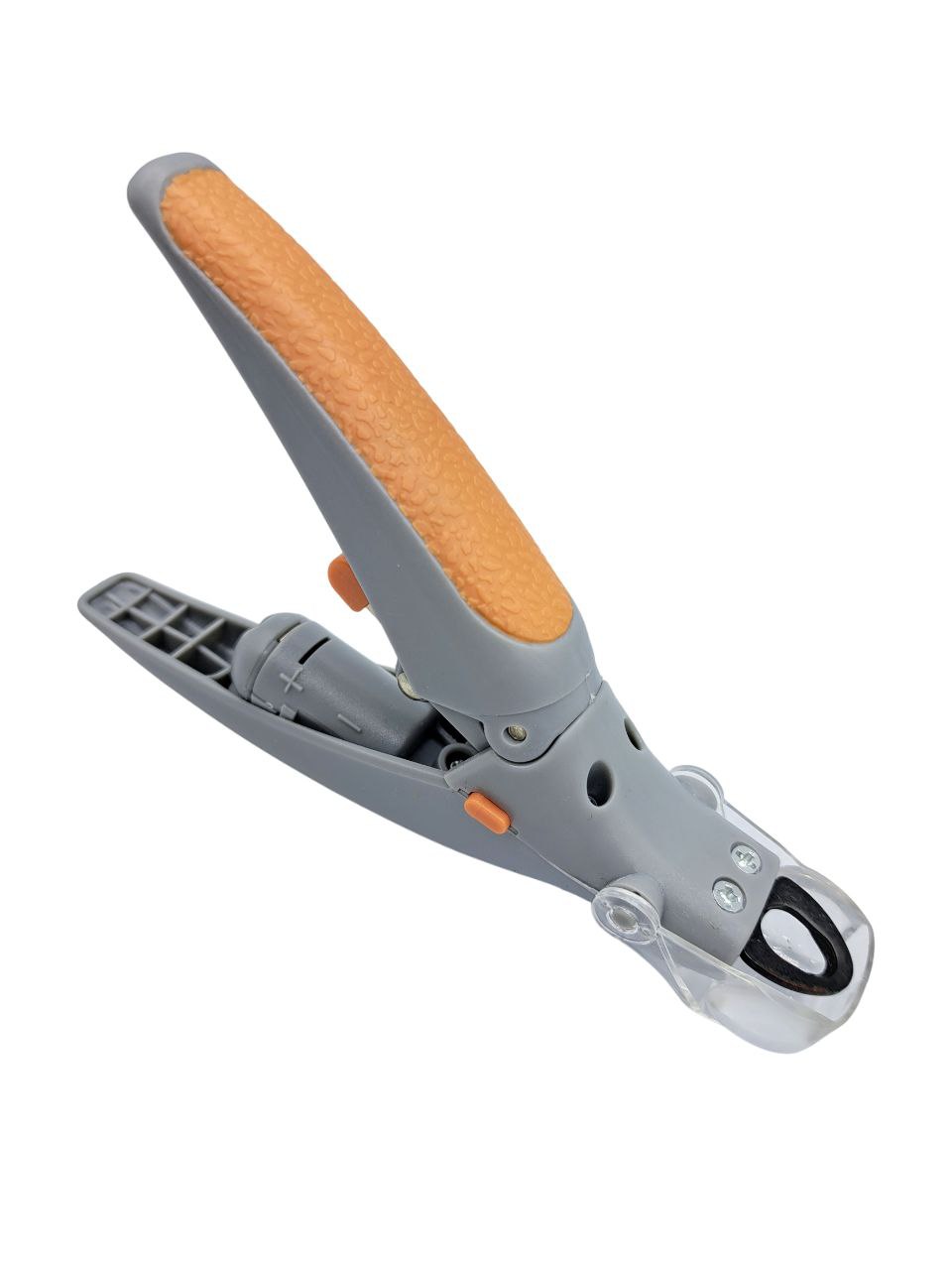 photo_2025-09-15_20-53-25