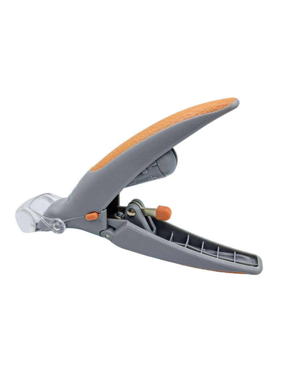 photo_2025-09-15_20-53-28