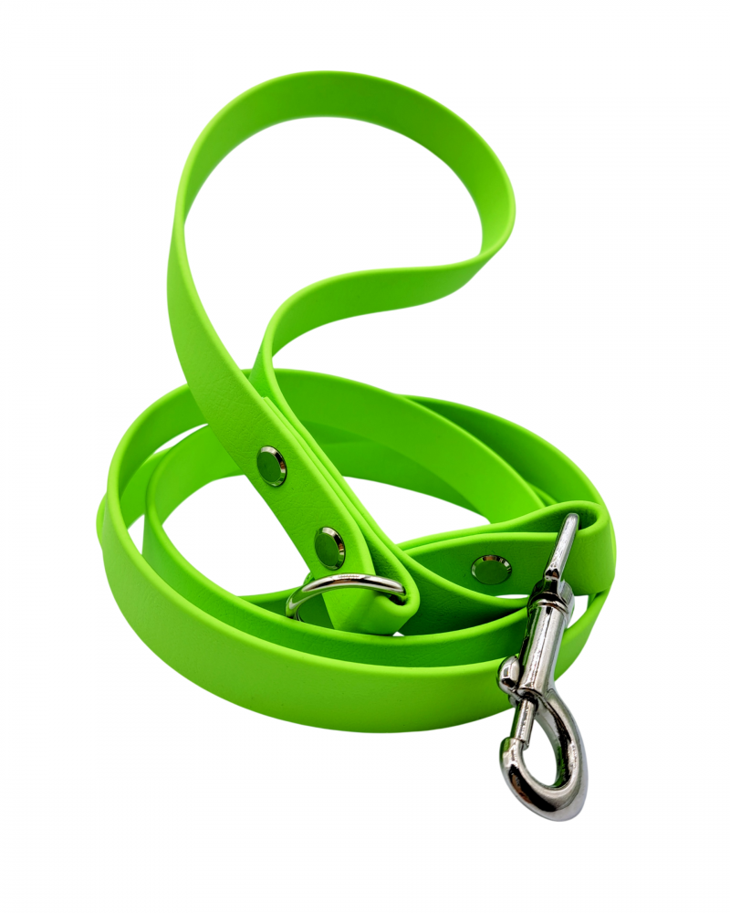 CORREA VERDE