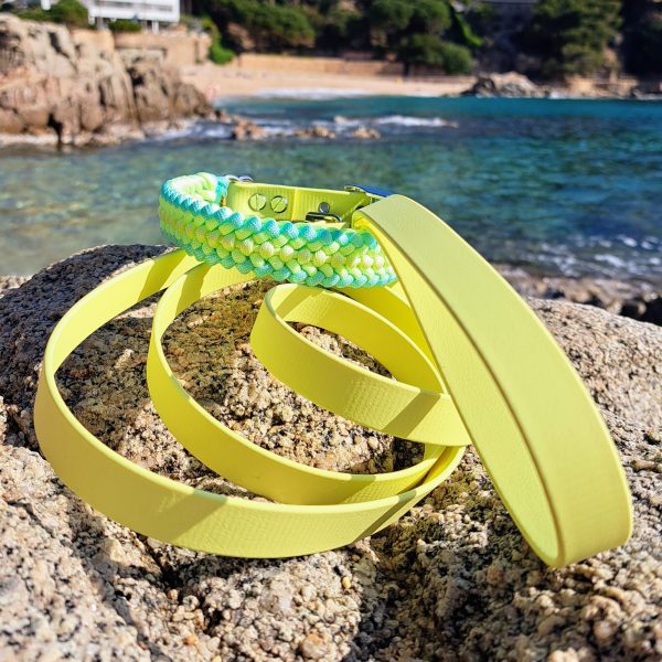 Duo paseo collar + correa amarillo