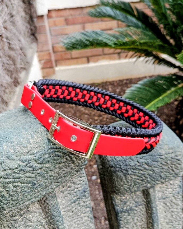 FOTO ROJO 2