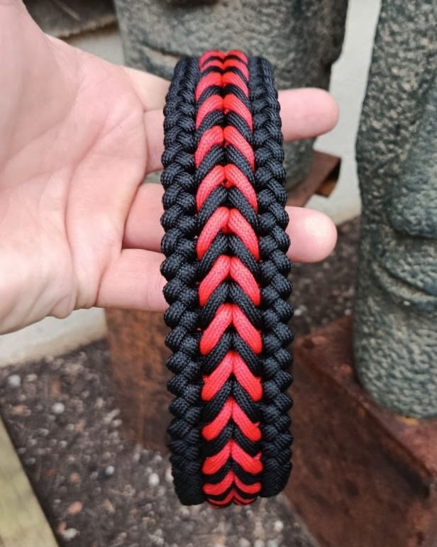 FOTO ROJO 3